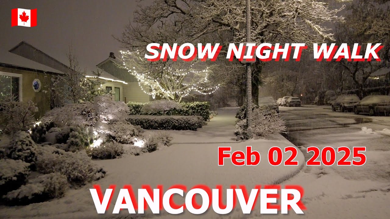 Night Walk in Heavy Snowfall & Winds with Nature Sounds of Snow Crushing - Vancouver Canada Winter