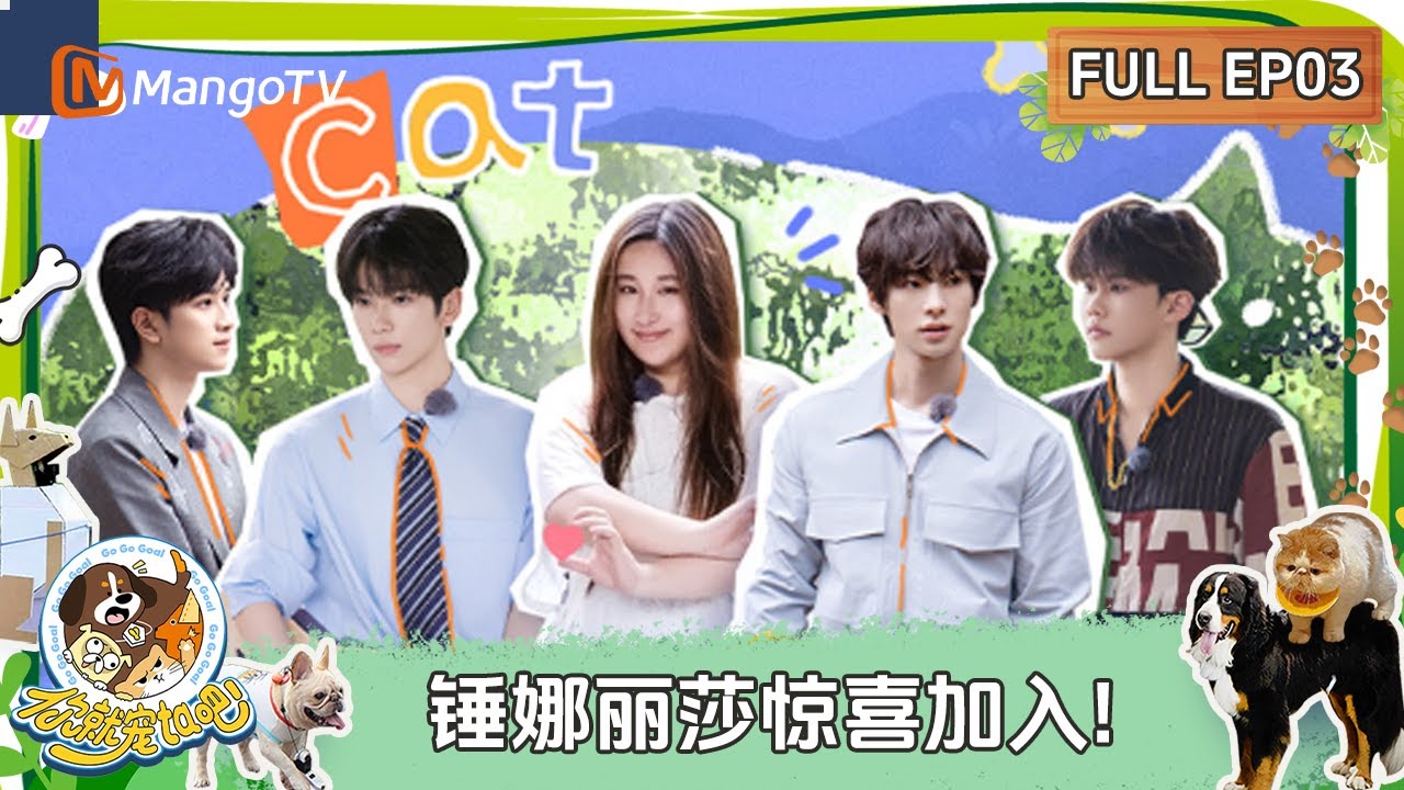 FULL《你就宠ta吧》EP3：锤娜丽莎惊喜加入拯救流浪猫 颜安接管圆圆沙一汀走心托付 | Go Go Goal | MangoTV Family