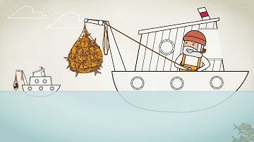 What is StreamBase LiveView?