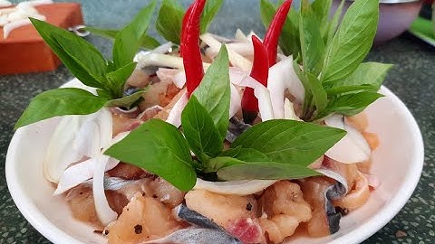 CÁ TRA NHÚNG GIẤM Cuốn bánh tráng - Món ăn khoái khẩu của người miền Tây | Út Sỹ Miền Tây