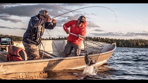 How to make a fish trap with plastic bottle | Amazing Life Hacks