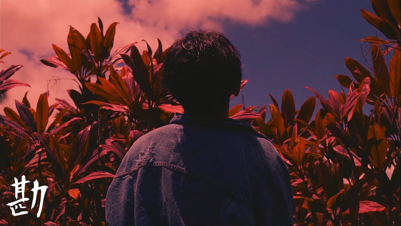 무료비트 디파알 라이브 X 크러쉬 X 식케이 "Flower"