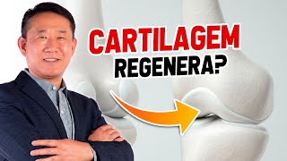 CARTILAGE - IS IT POSSIBLE TO REGENERATE? | Peter Liu