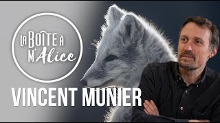 La Boîte à M'Alice S0521 - Vincent Munier