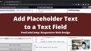 Add Placeholder Text to a Text Field (Basic HTML and HTML5) freeCodeCamp tutorial