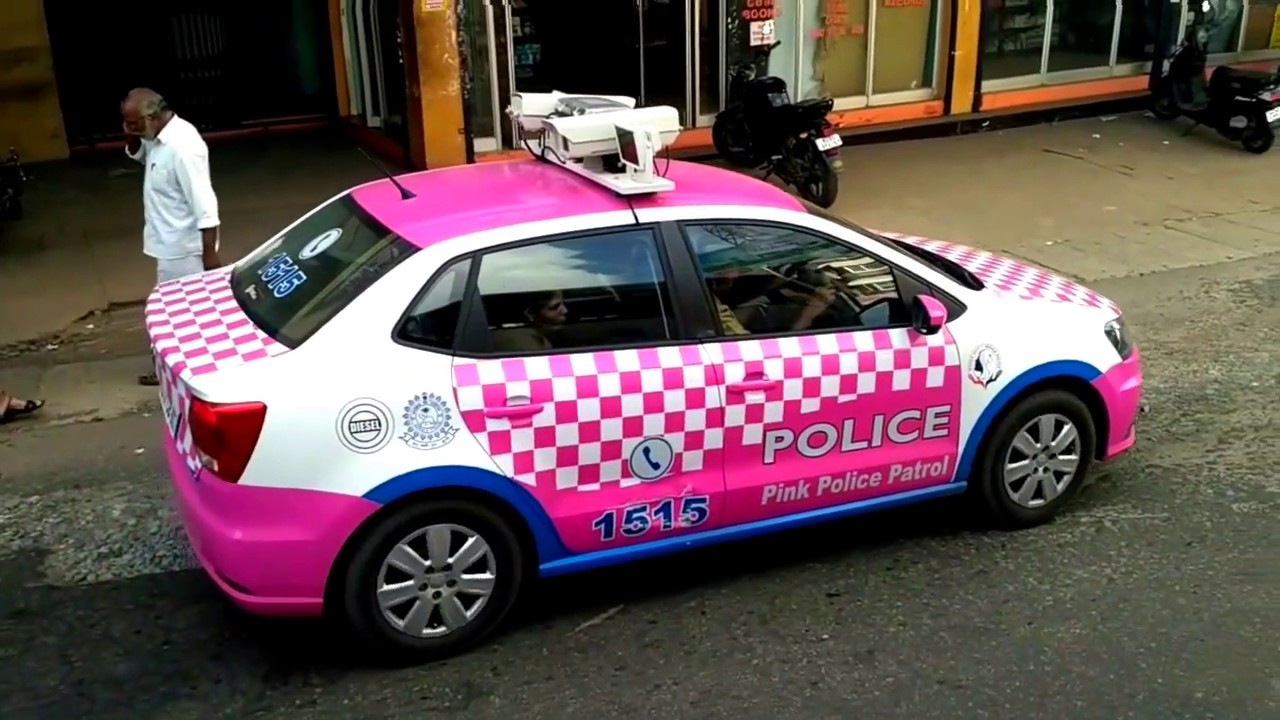 Image result for pink police
