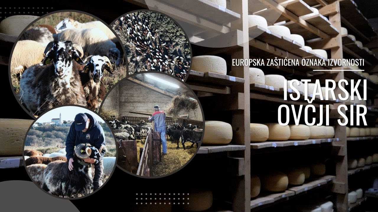BOJE ZEMLJE Europska zaštita za istarski ovčji sir