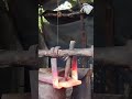 iron release process