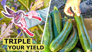 Prune Zucchini Plants THIS WAY and Triple Your Production