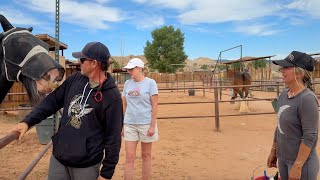 Paria River Ranch Rescue: Utah’s Hidden Gem for RVers & Animal Lovers