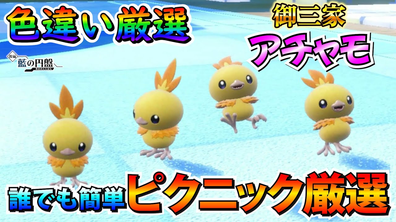 アチャモ バシャーモ 色 違い 色違いポケモン アチャモ ワカシャモ 
