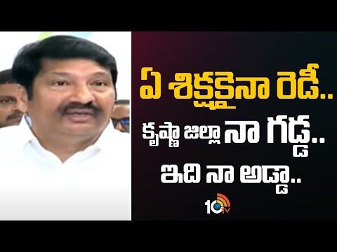 నేను శిక్షకు రెఢీ.. కృష్ణా జిల్లా నా గడ్డ.. ఇది నా అడ్డా..|Jogi Ramesh Firing Comments | Chandrababu - 10TVNEWSTELUGU