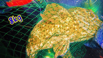 Vừa Đáp Đáy Tăng 2 Phát Hiện Con Cá Mú 8 kg Quá Khủng Khiếp | 6 Anh Em Vây Bắt Rất Lâu