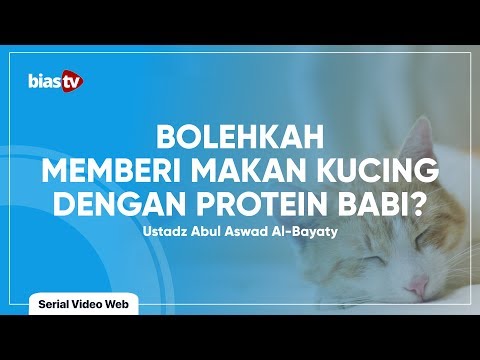 Makanan Kucing: Hukum Memberi Makan Kucing dengan Makanan yang Mengandung Babi
