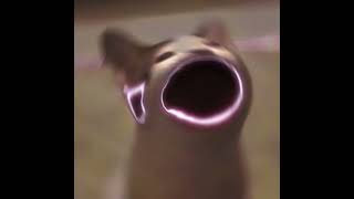 Frizk  All My Fellas aya Remix