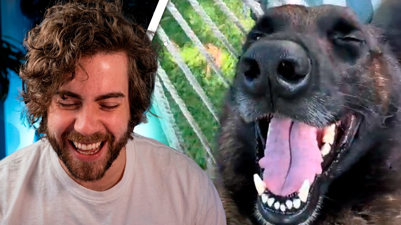 Original Title & Thumbnail