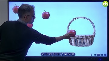 Whiteboard - TRAULUX interactive monitor TLM80-1 series