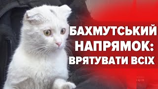 💔😢Стільки сліз і болю. БАХМУТ: як проходить евакуація місцевих мешканців