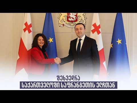 შეხვედრა საქართველოში საფრანგეთის ელჩთან