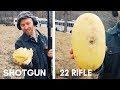 22 Rifle (VS) Shotgun for Pig Harvest ~ the Squash Test