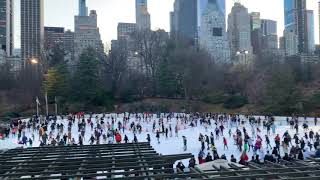 Ice Skating at Central Park