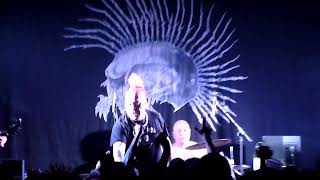 The Exploited Bologna Locomotiv - Chaos Is My Life