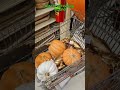 GIANT Hobby Lobby Pumpkins... Should I Get Them?! 🎃