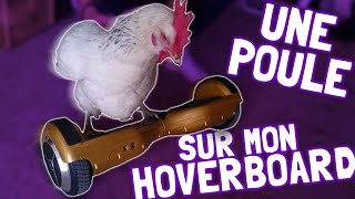 UNE POULE SUR MON HOVERBOARD ! (Unboxing,Test) [IRL]