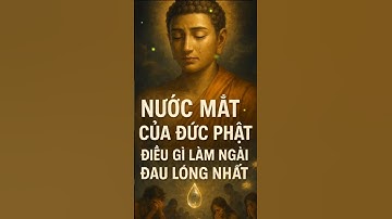 Nước Mắt Của Đức Phật: Sự Thật Khiến Ngài Đau Lòng Nhất