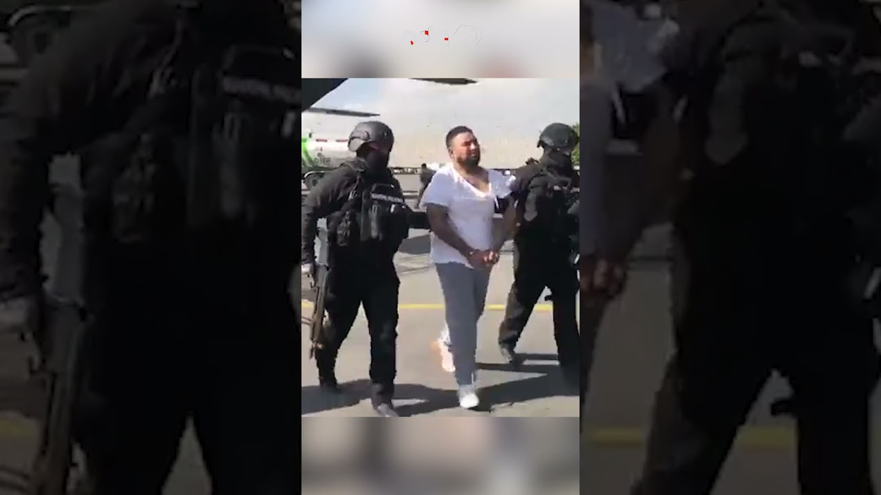 🚨¡Última Hora! Detuvieron a