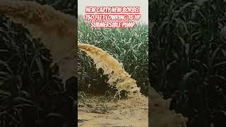 Capty Borbell 15 Hp Submersible Pump