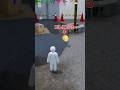丸い藁になった結果w #shorts #めっちゃカメレオン