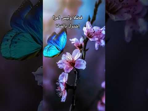 اكتب شي تؤجر عليه