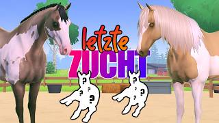 meine 🅻🅴🆃🆉🆃🅴 ZUCHTFOLGE 🐴❌ in Equestrian the Game