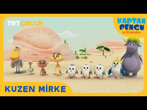 KAPTAN PENGU VE ARKADAŞLARI | KUZEN MİRKE