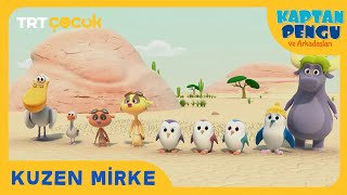 Kaptan Pengu ve Arkadaşları | Kuzen Mirke