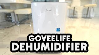 GoveeLife Dehumidifier Review: See It In Action (and see how it empties)