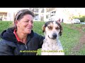 Homeless People & Stray Dogs in Affection In The Streets at Animalis Fabula Film Festival