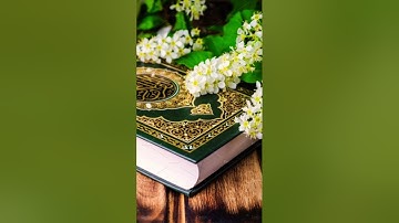 سورة يوسف القارئ إسلام صبحي🤍😔 #لايك #راحة_نفسية #ترند #اكسبلور #حالات_واتس