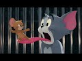 Tom and Jerry starring William Hanna, Mel Blanc, Chloë Grace Moretz etc.