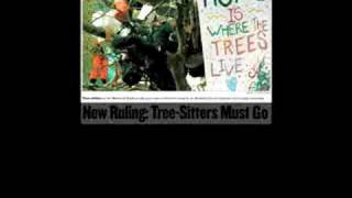 History of the Oak Grove Tree-Sit