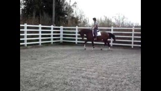 tally flat work