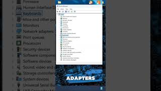 Games Slower After Windows Update? Check Your GPU Driver