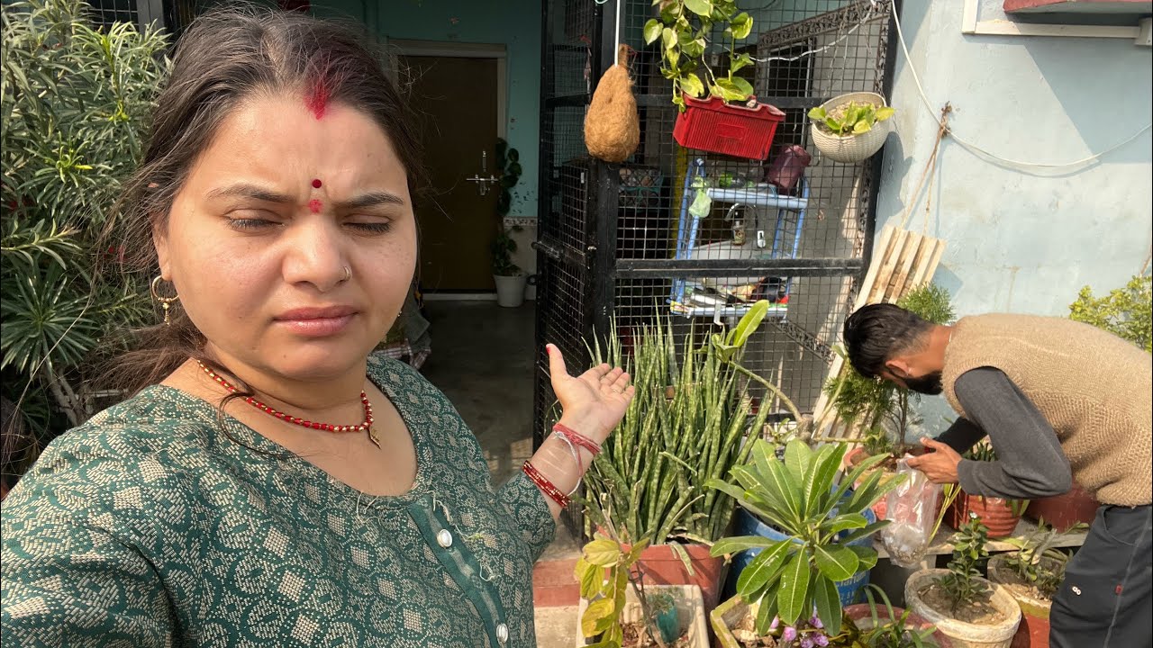 गार्डन की ऐसी हालत देखकर हो गया दिमाग खराब 😌 बच्चों की तरह केयर करनी होती है पेड़ पौधों की 😭😭