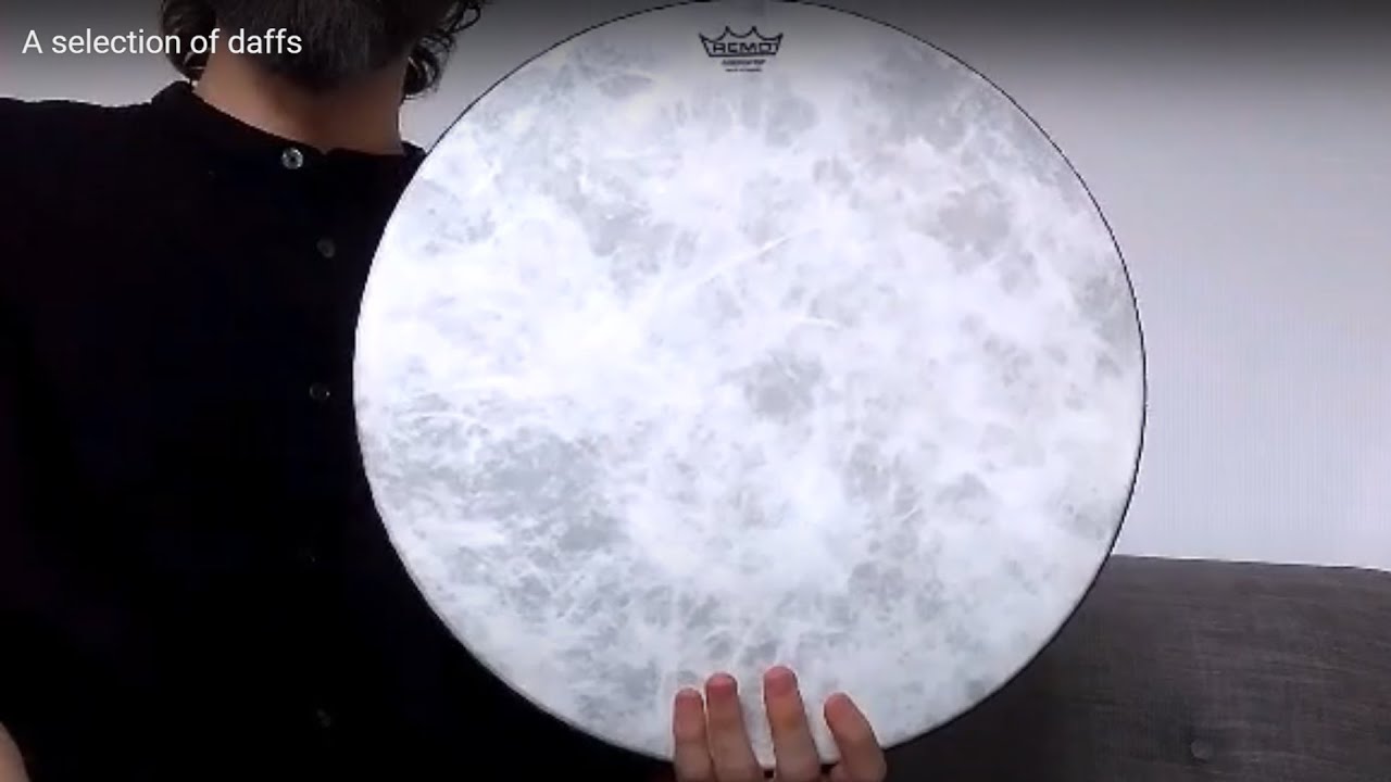 A selection of daffs