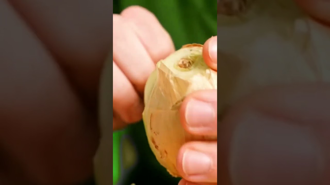 Готовим вкусный суп с экономией времени 