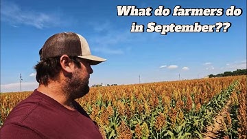 Day In The Life: Cotton Harvest Preparations