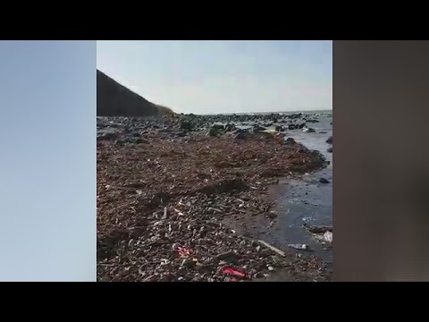 Выброс на юге?