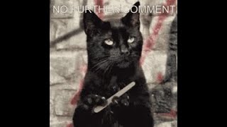 Python 007 Comments and Markdown Information