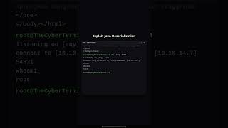Exploiting Deserialization Vulnerabilities in Java